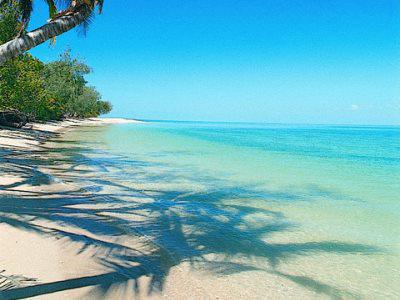 מלון Great Barrier Reef Bedarra Island מראה חיצוני תמונה